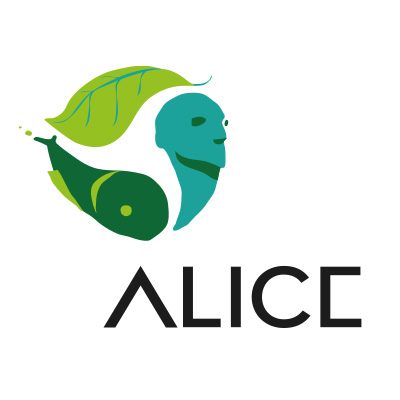 Proyecto ALICE