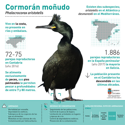 Planes de Conservación de aves